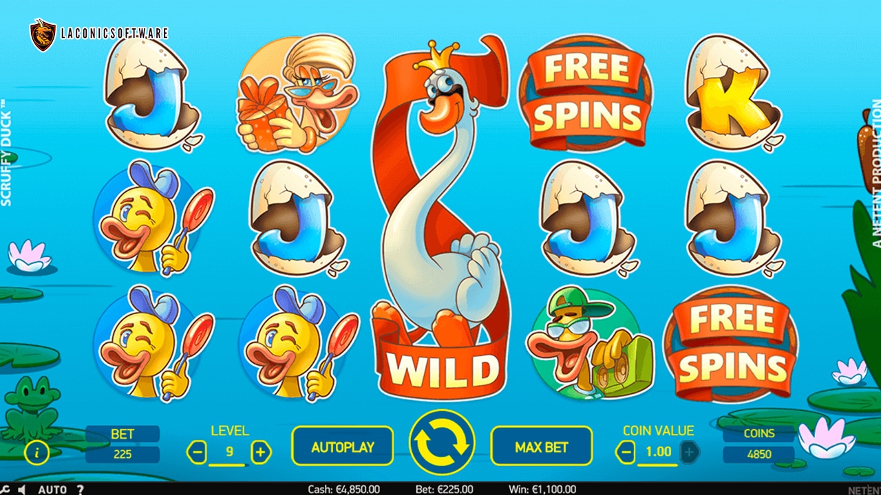 Hướng dẫn cách chơi Scruffy Duck Slot